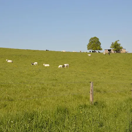 Spacious Forest Escape Weris