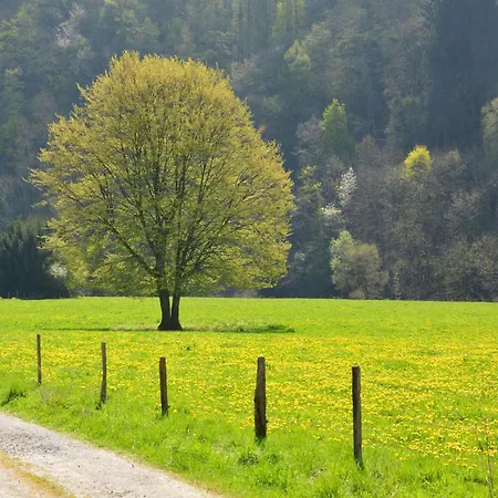 Prázdninový dům Spacious Forest Escape *